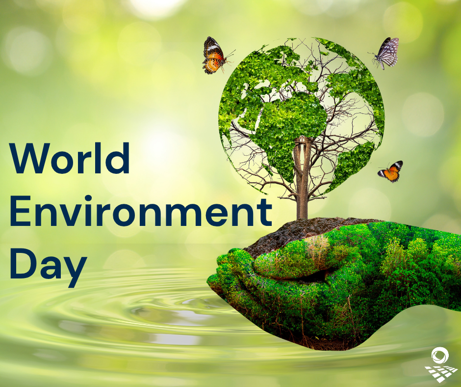 World Environment Day 2025: How You Can Help Beat Plastic Pollution